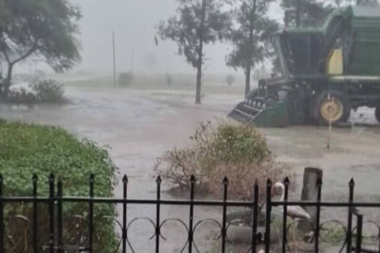 Lluvias en Chaco: un alivio insuficiente para los productores agropecuarios