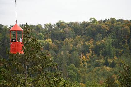 En un centro de vigilancia forestal cerca de Hölstein, Suiza, los científicos utilizan una grúa para hacer mediciones que documentan la respuesta de los árboles a los cambios ambientales