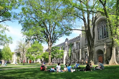 En un comienzo todo fue extraordinario, Román había llegado a una burbuja, en un campus de élite parecido a las películas: “Pero que no son los Estados Unidos reales, por así decir”, asegura.