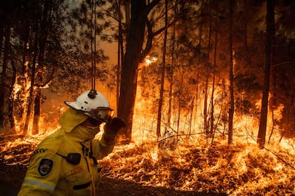 En un esfuerzo por crear un cortafuegos, los bomberos voluntarios atienden un incendio controlado a lo largo de Princess Highway en el Parque Nacional Meroo de Australia, el 5 de enero de 2020.