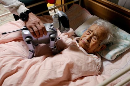 En un geriátrico de Japón, experimentan con robots para cuidar a los ancianos