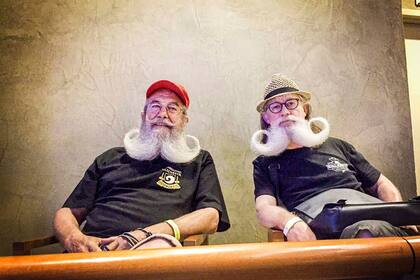 En un híbrido entre barba y bigote, estos dos parroquianos ven la vida pasar sin estresarse demasiado.