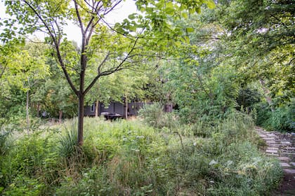 En un jardín salvaje se reactivan las redes ecológicas: donde antes sólo había un cerco geométrico ahora hay colibríes, abejas, mariposas y aves