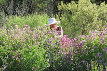 En un jardín silvestre la diversidad es clave.
