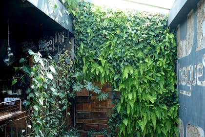En un patio interior, plantas de distintas especies suman encanto de tono selvático al lugar.