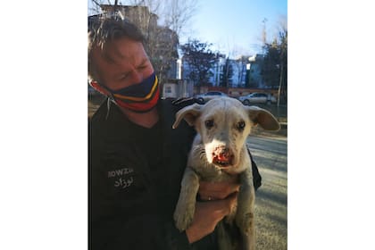 En un primer momento los animales no recibieron la prioridad para ser evacuados
