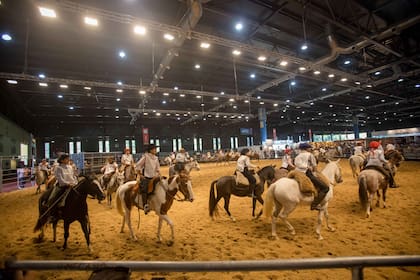 "En un solo espacio se reúnen las principales razas, referentes, novedades y tendencias de un sector clave para nuestro campo”, señaló Carlos Solanet