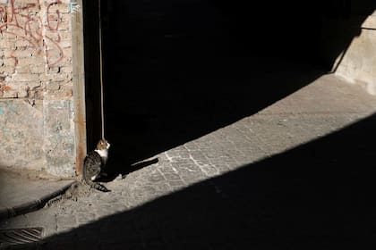 En una calle de Estambul