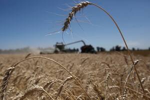 Impuesto a la riqueza: los detalles que el agro debe tener en cuenta