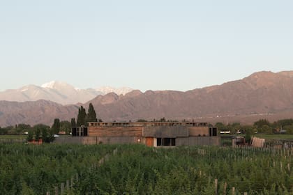 En una finca de seis hectáreas, de las cuales cuatro están plantadas con Malbec, levantaron un espacio de 900 m2 con unos 500.000 kilos de chatarra