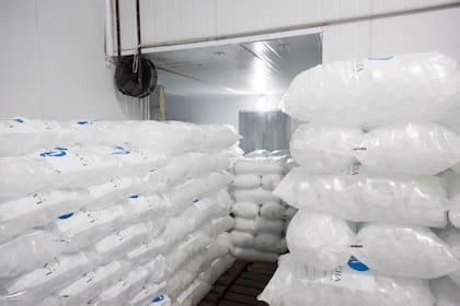 En una gran cámara de frio conservan la producción de hielo. La fábrica abre los 365 días del año y atiende las 24 horas