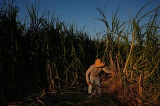 En una región agrícola de California investigadores mapean calor rural para proteger a trabajadores