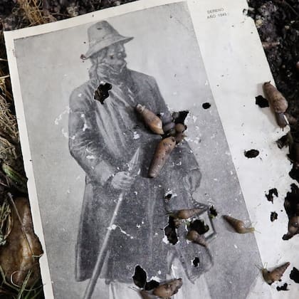 En uno de los terrarios de Pablo Logiovine, los caracoles devoran páginas de un libro sobre la historia de los uniformes policiales