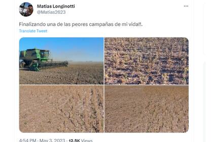 En varias localidades de la provincia de Buenos Aires las historias de los bajos rindes se repiten