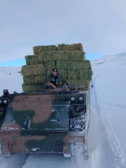 En vehículos del Ejército se distribuye alfalfa para auxiliar a las ovejas atascadas por las fuertes nevadas en Santa Cruz