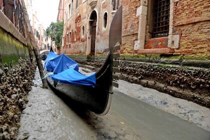 En Venecia, un paisaje insólito: los canales se quedaron sin agua