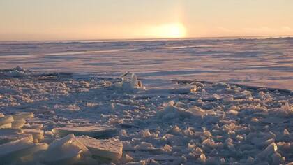 En verano, cuando parte del Ártico pierde su hielo, la LIA permanece congelada