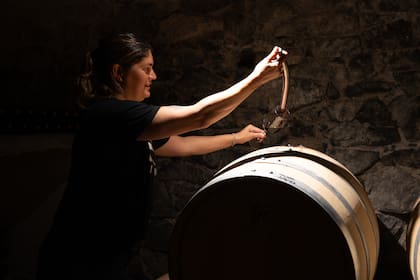 En Viarago se puede visitar la bodega y participar de las degustaciones.