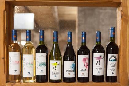 En Videla Dorna ofrecen pinot noir, malbec, merlot, cabernet sauvignon, torrontés y riesling