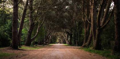 En Villa Ventana también se pueden visitar las ruinas del famoso “Ex Club Hotel de la Ventana”