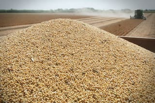 BLD: el nuevo default que generó nerviosismo en el campo