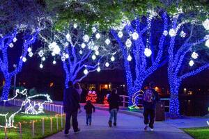 Encantadores paseos de luces en Galveston, Texas