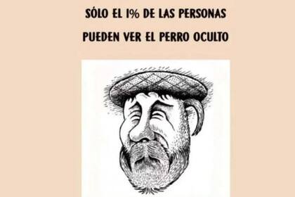 Encontrá el animal escondido en esta imagen en tan solo 30 segundos