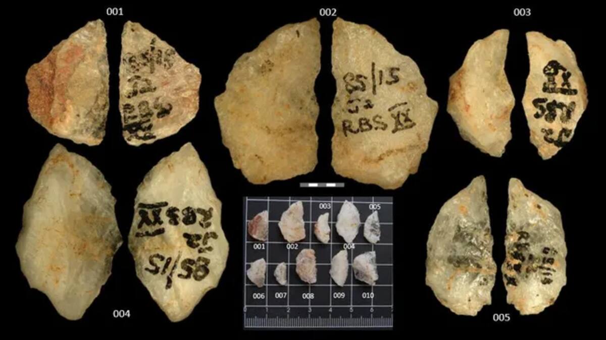 Um estudo revelou a arma venenosa mais antiga da humanidade Um estudo revelou a arma venenosa mais antiga da humanidade