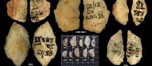 Un estudio reveló las armas venenosas más antiguas de la humanidad