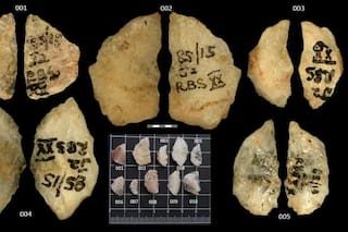 Un estudio reveló las armas venenosas más antiguas de la humanidad