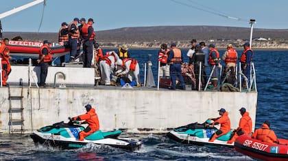 Encontraron el cuerpo de Sofía Devries, la joven buceadora desaparecida en Puerto Madryn