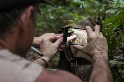Encontraron en la selva de Papúa Nueva Guinea restos del avión en el que viajaba el soldado Richard I. Bong