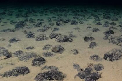 Encuentran oxígeno negro en las profundidades del océano y se abre una incógnita sobre el origen de la vida