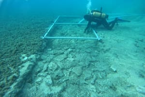 Encuentran debajo del mar un misterioso asentamiento humano de hace 7000 años