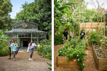 Encuentros de yoga o charlas TED dentro del espacio vidriado (izquierda) y la huerta en donde se dictan talleres a cargo de Germinar.org