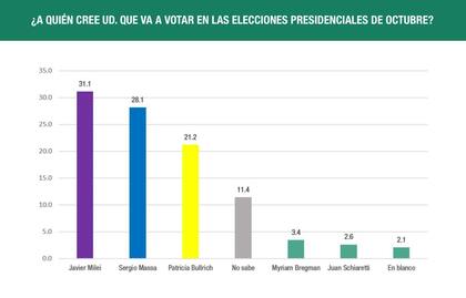 Encuesta de la consultora Analogías
