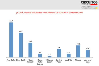 Encuesta de la consultora Circuitos entre candidatos a gobernador de la provincia de Buenos Aires