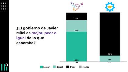 Encuesta sobre la opinión del gobierno de Milei respecto a cómo se lo esperaba