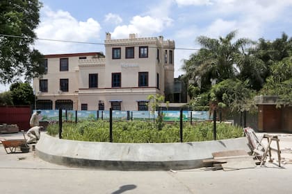 Enero 2018: el añoso ejemplar ya no está y plantaron un retoño