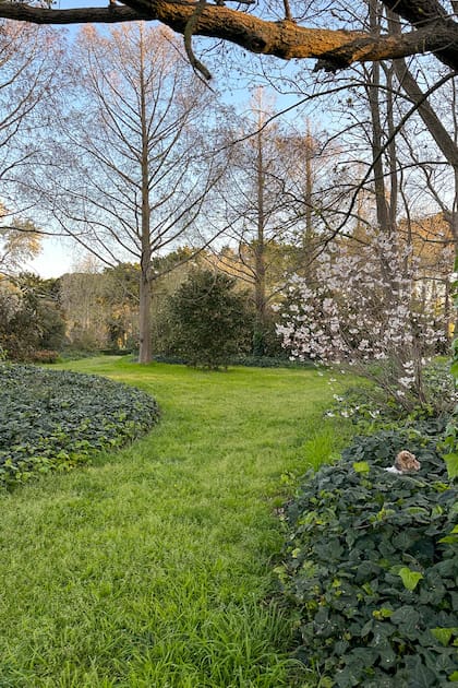 Enmarcar vistas permite resaltar ciertas áreas del jardín o servir como telones de fondo para otros escenarios