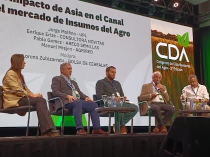 Enrique Erize, presidente de la consultora Nóvitas, habla en el congreso