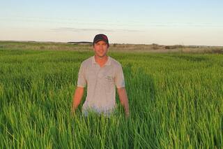 El 17% de los productores abandonaría la actividad y caería 15% la siembra