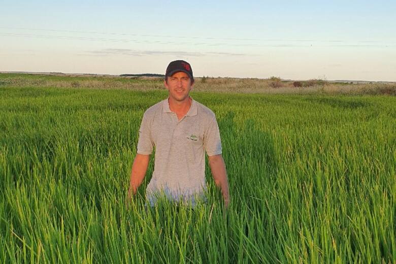 Crisis arrocera en Entre Ríos: podrían desaparecer uno de cada cinco productores