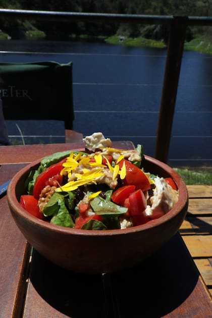 Ensalada en DiqueSí: las materias primas son de productores de la zona