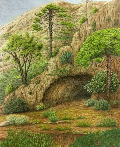 Entrada a la cueva de Bolomor; La imagen recoge más de 30 especies vegetales (Foto:Gabriela Amorós)