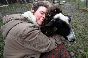 Entrar en contacto con los animales en ese entorno natural lejos del bombardeo informativo, mascarillas y restricciones, de alguna manera, sana a los visitantes