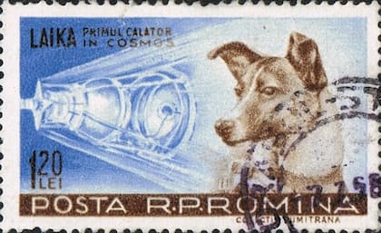 Entre 1957 y 1987, los aliados soviéticos, como Rumania, Albania, Polonia y Corea del Norte, emitieron sellos postales de Laika