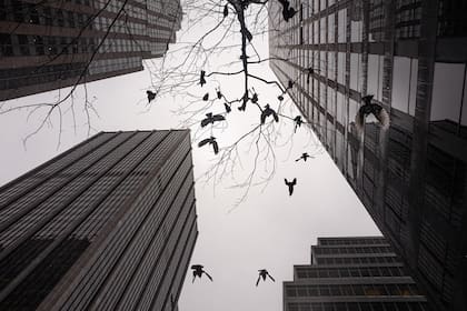 Entre 2020 y 2021 Nueva York perdió 300.000 habitantes por sus oficinas vacías, Houston solo 12.000