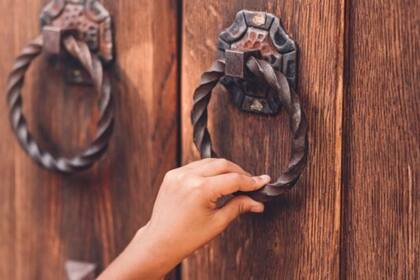 Entre agosto pasado y enero de 2020, se cancelaron más de 70 adopciones en Brasil