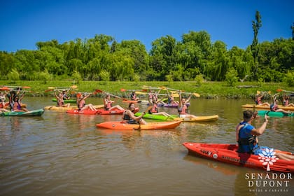 Entre bosques y arroyos, los visitantes disfrutan de kayak, trekking y paseos por la isla.